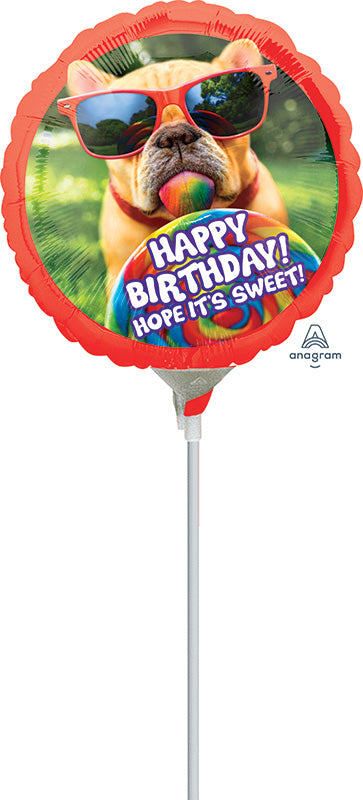 9" Airfill Only Avanti Sweet Birthday Balloon