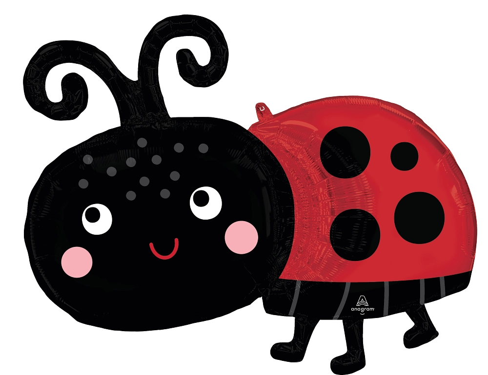 46763 Happy Ladybug foil balloons anagram 