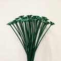 Le Colour Wheel 13" One Piece Cup and Balloon Stick-Green se compose de bâtonnets en plastique verts à sommet plat, idéaux pour soutenir les bouquets de ballons ou améliorer le décor de la fête. Il est représenté debout sur un fond blanc uni.