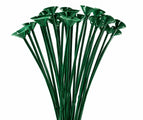 Le Colour Wheel 13" One Piece Cup and Balloon Stick en vert est idéal pour les décorations de fêtes ou les bouquets de ballons. Il est doté d'un couvercle en forme de coupe et est représenté en éventail sur un fond blanc.