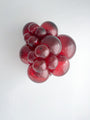 5 Inch Tuftex Latex Balloons (50 Per Bag) Crystal Burgundy Manufacturer Inflated Image