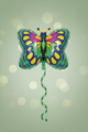 Butterfly Green Balloon