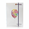 Enhanced Balloonia Portfolio