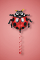 Ladybug Balloon